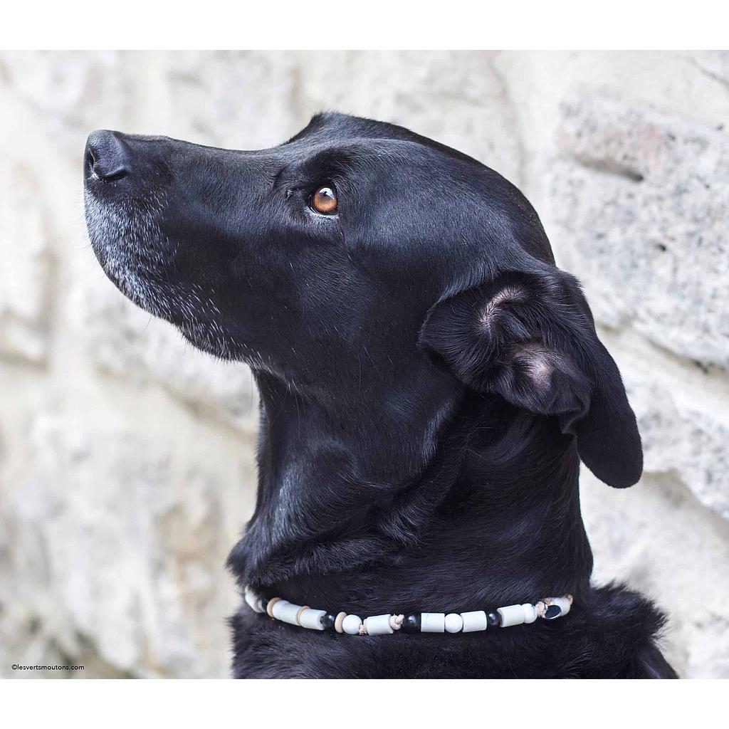 Collier anti-tiques série "101 dalmatiens"