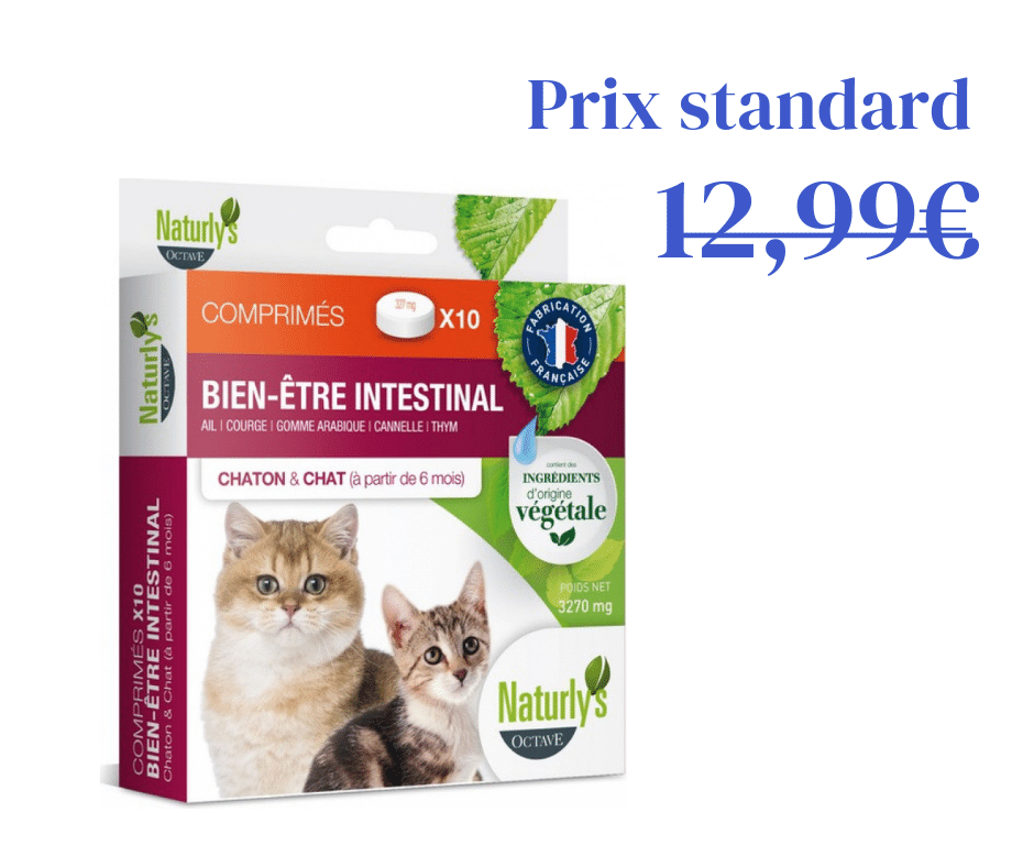 Comprimés Bien Être intestinal Naturels pour chat et chaton