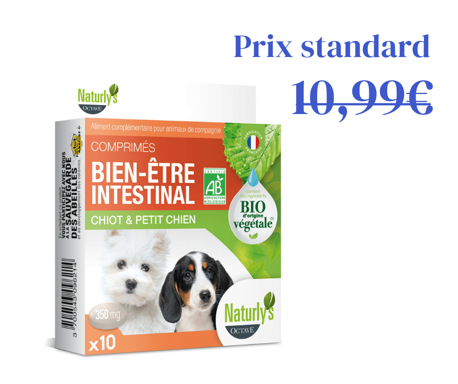 Comprimés Bien Être intestinal pour Chiot &amp; Petit Chien