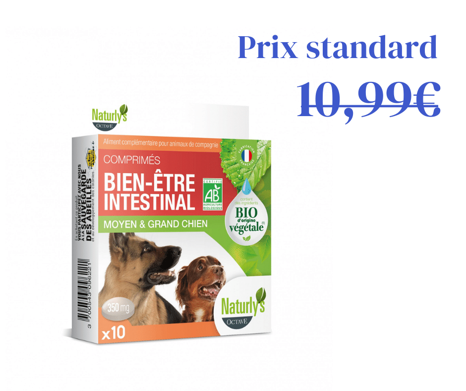Comprimés Bien Être intestinal pour Moyen et Grand chiens