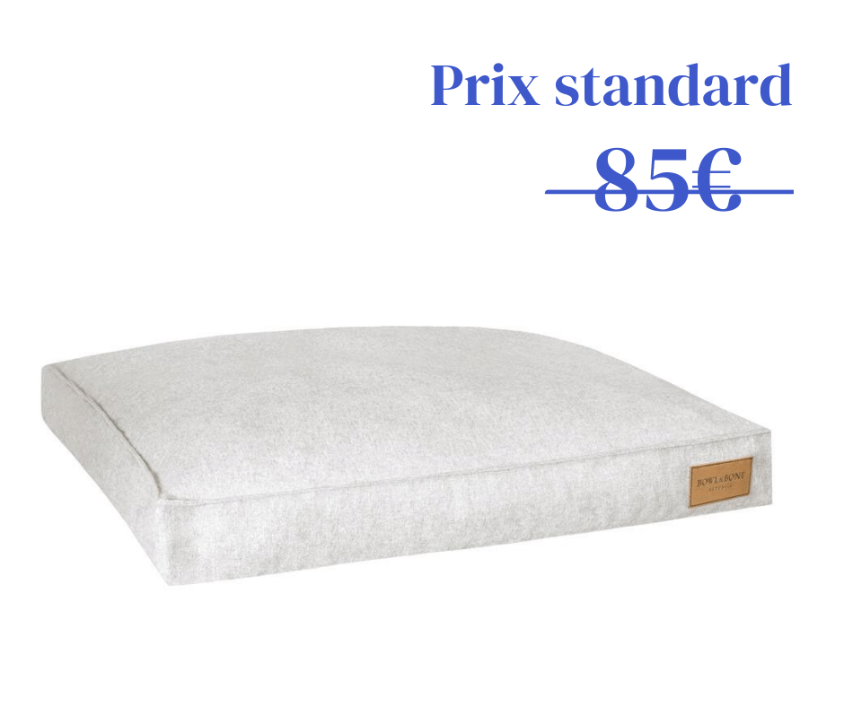 Coussin Loft L (3 coloris)