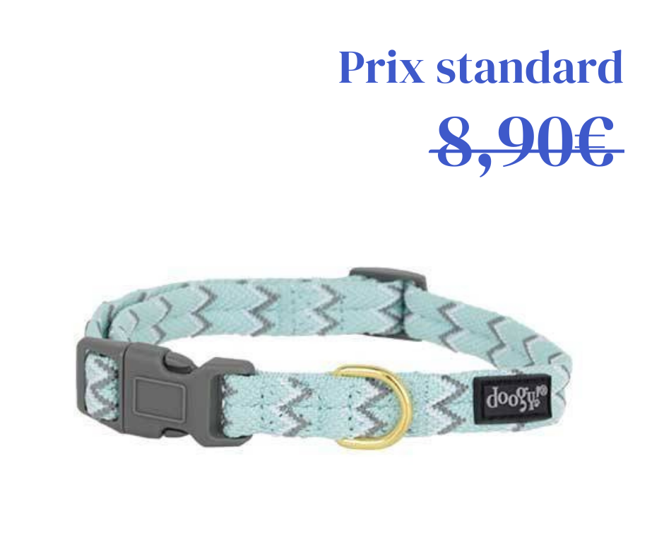 Collier Nylon Brasil Turquoise - 3 tailles