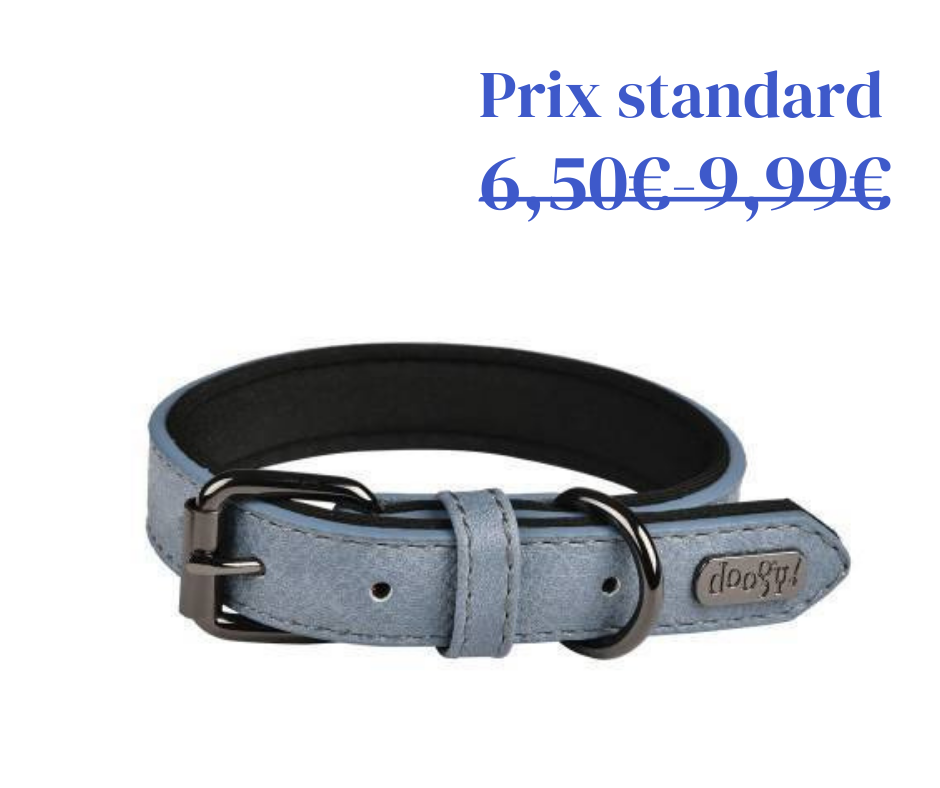 Collier Simili Basics Bleu - 6 tailles