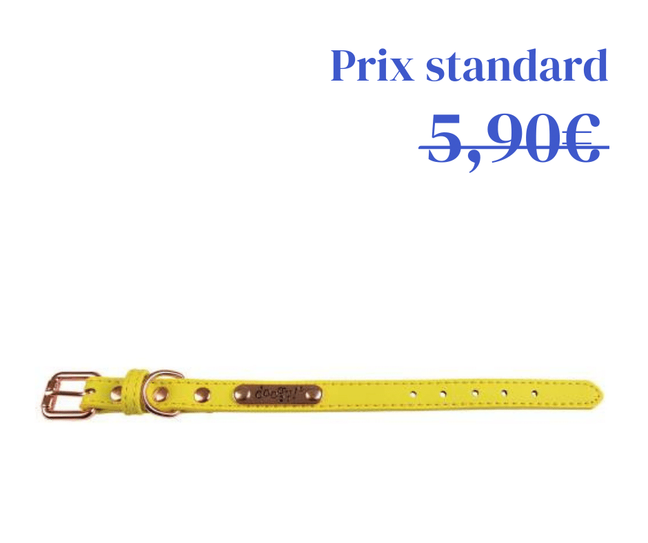 Collier Simili Summer Jaune - 4 tailles