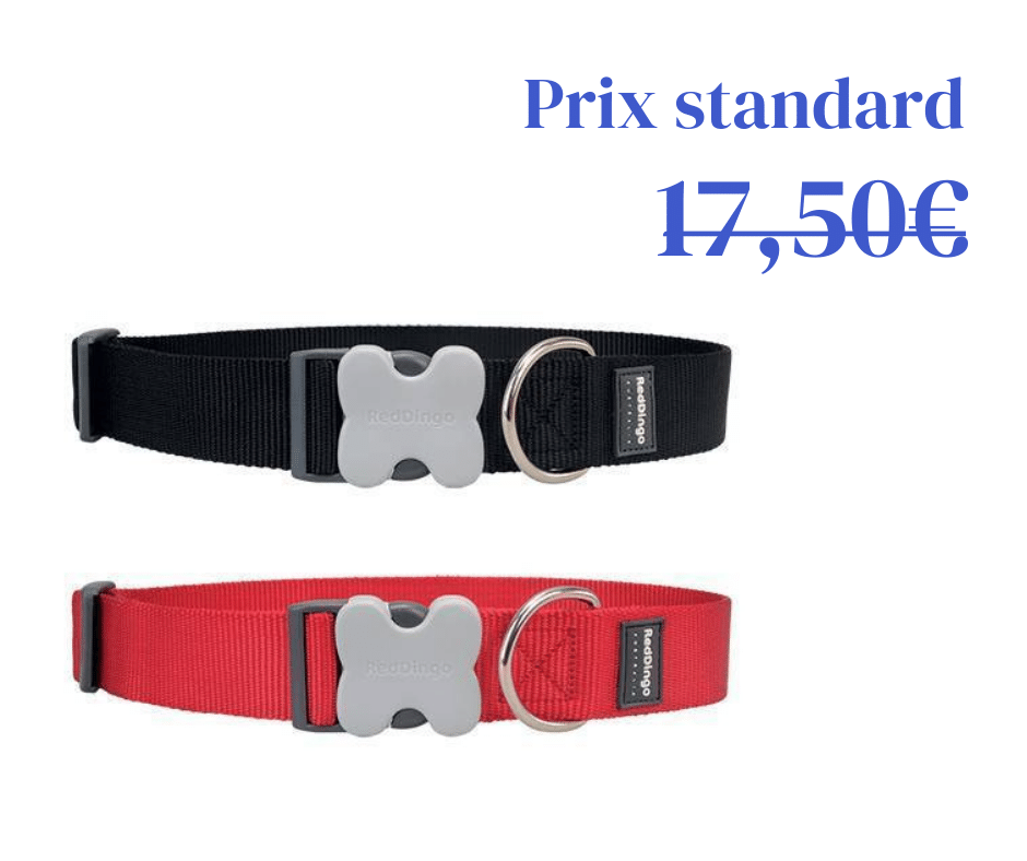 Collier Spécial Gros Chiens - 2 coloris