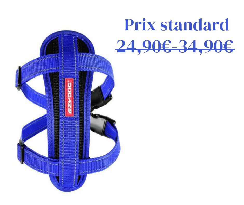 Harnais Ezydog Chest Plate (XXS à XL) (3 coloris)