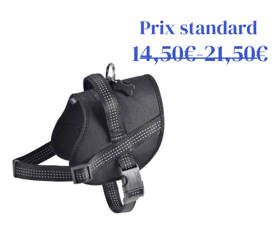 Harnais Easy Safe Noir Bobby - 5 tailles