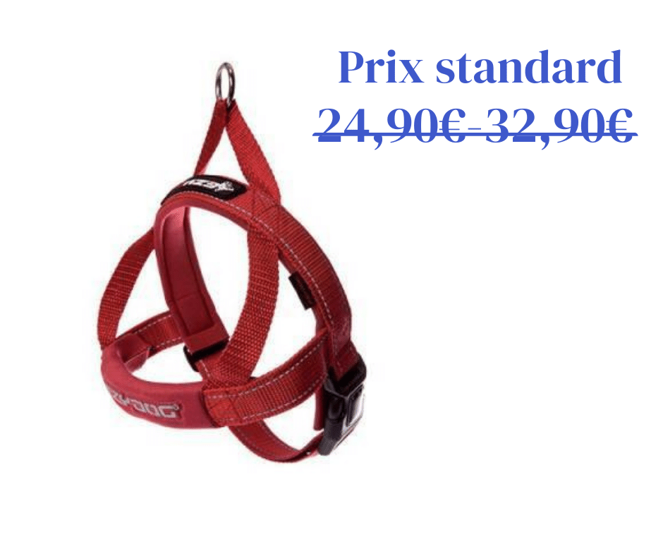 Harnais Quick Fit - 6 tailles et 4 coloris