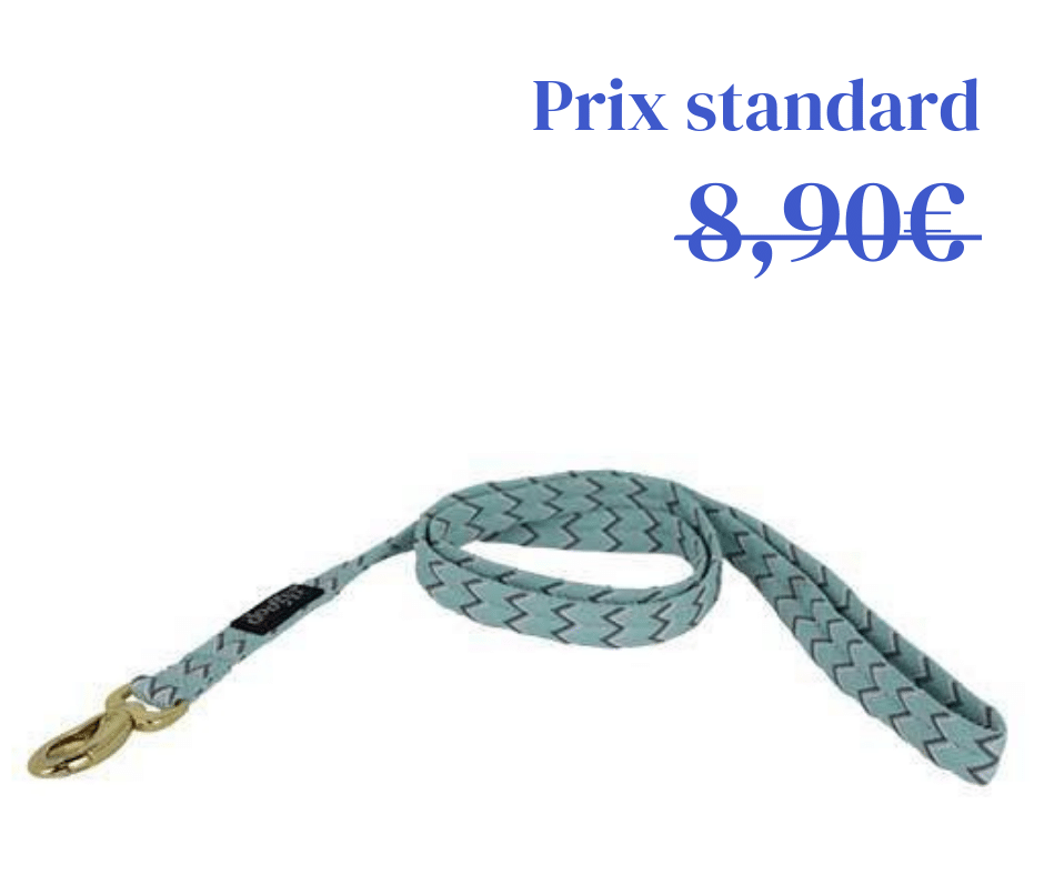 Laisse Nylon Brasil Turquoise
