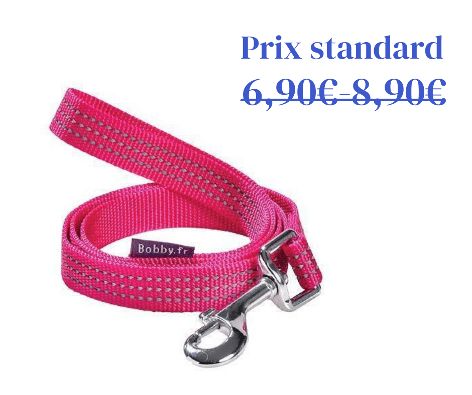 Laisse Safe Fuchsia Bobby - 2 tailles