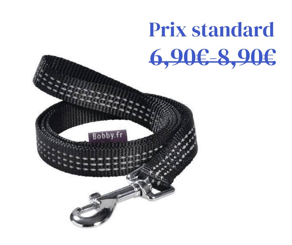 Laisse Safe Noire Bobby - 2 tailles