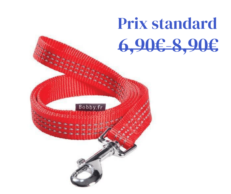 Laisse Safe Rouge Bobby - 2 tailles