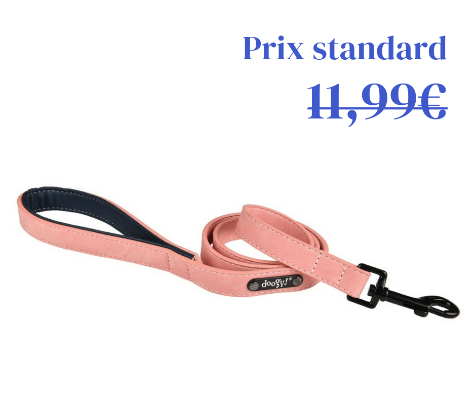 Laisse Simili Sweet Rose