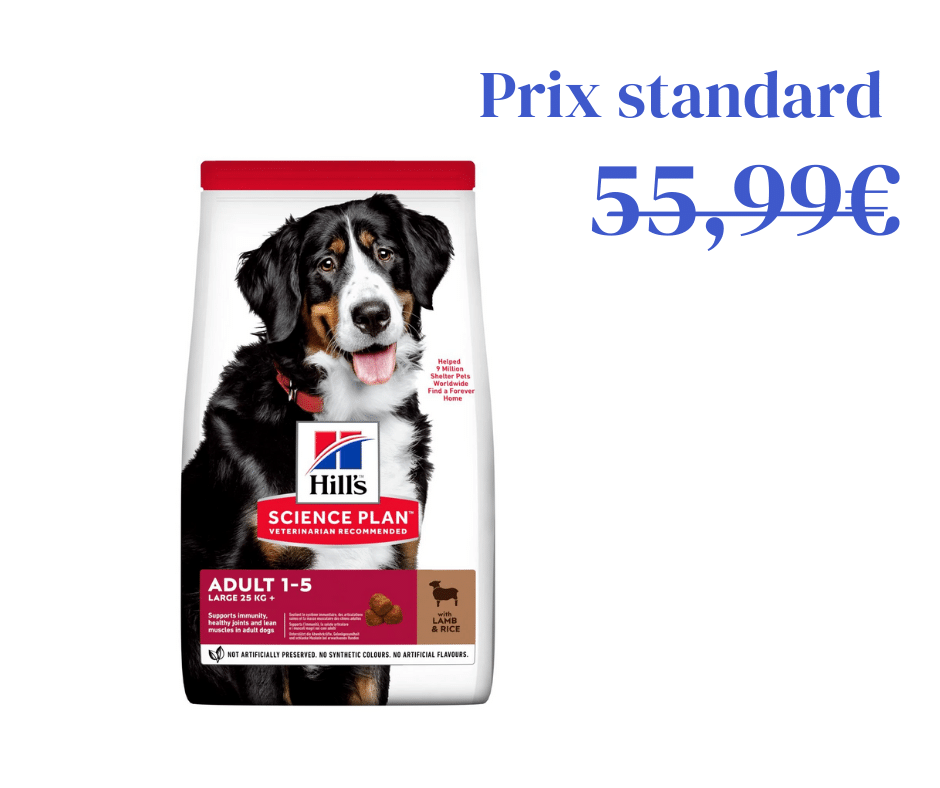 Agneau &amp; Riz pour Chien Adulte de Grande Taille