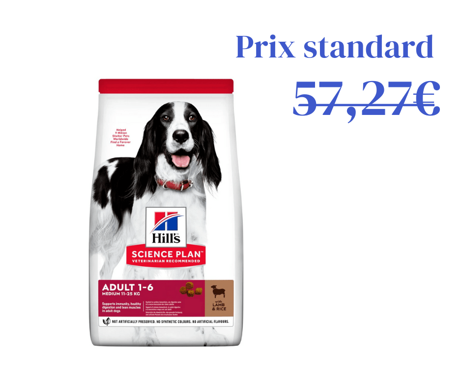 Agneau &amp; Riz pour Chien Adulte de Moyenne Taille