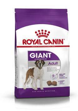 Giant Adult pour Chien