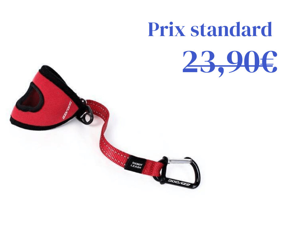 Laisse Handy Leash Ezydog (2 coloris)