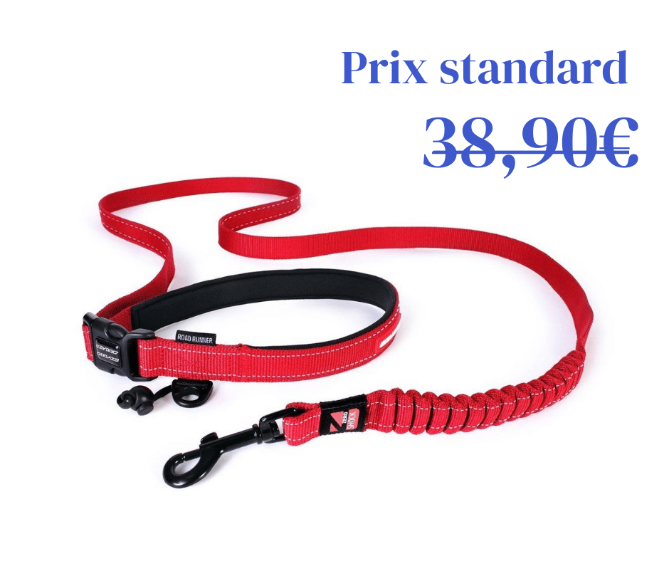 Laisse Road Runner Ezydog (4 coloris)