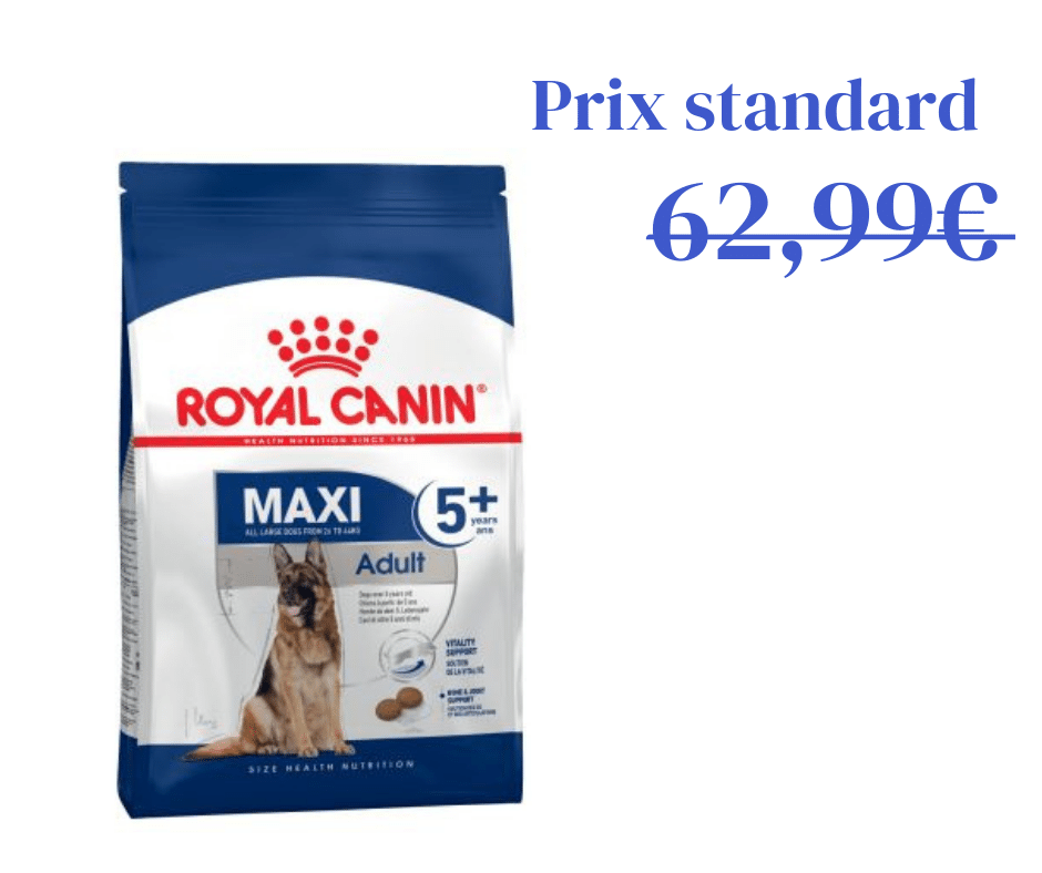 Maxi Adult 5+ pour Chien - 15kg