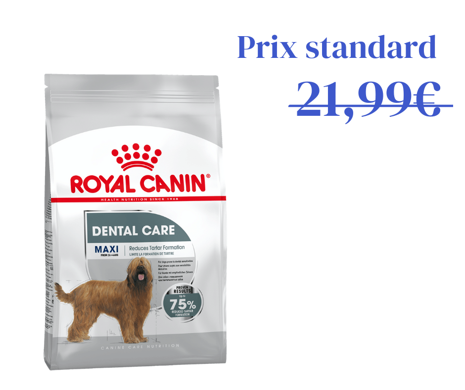Maxi Dental Care pour Chien Grande Taille - 3kg