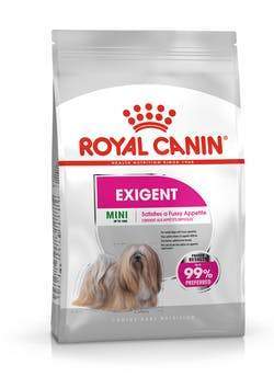 Mini Exigent pour Chien Petite Race