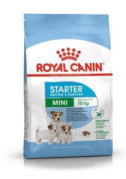 Mini Starter Mother &amp; BabyDog