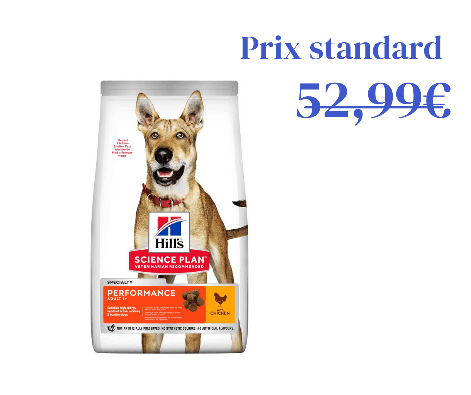 Poulet Performance pour Chien Adulte