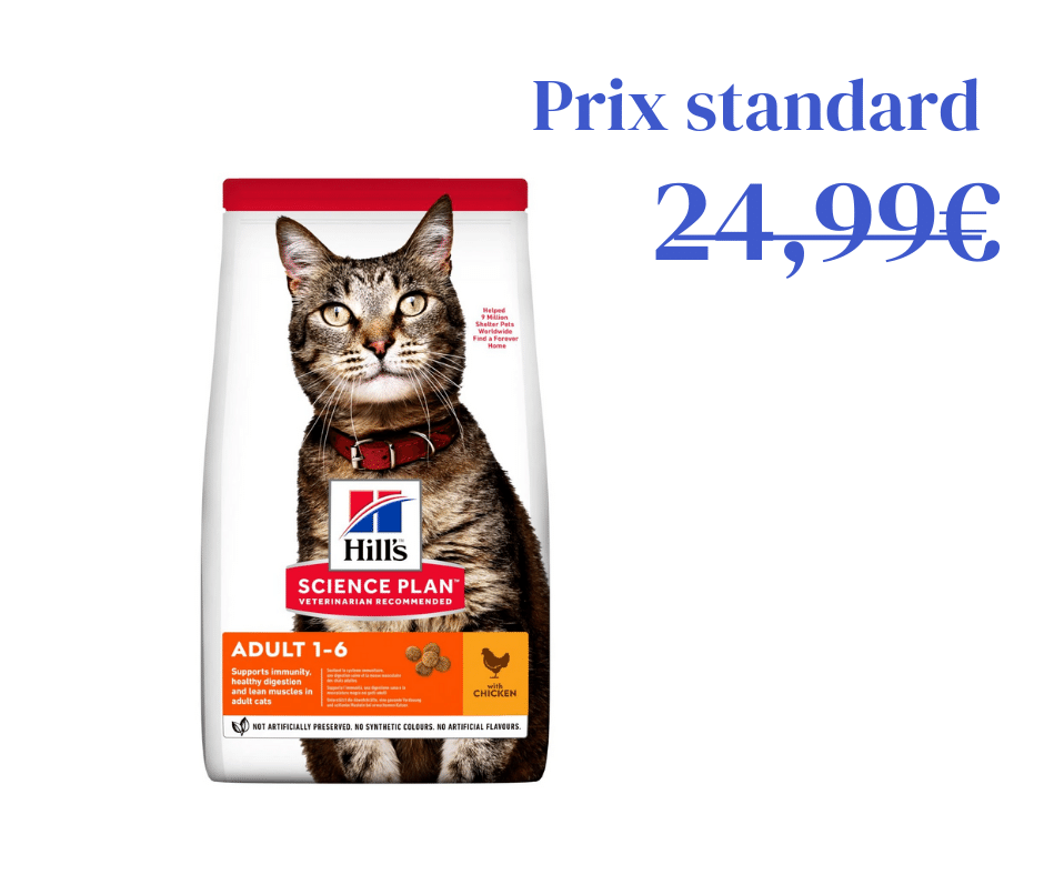 Poulet pour Chat Adulte