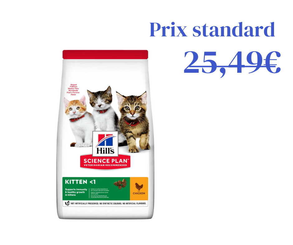 Poulet pour Chaton et Chatte en Gestation