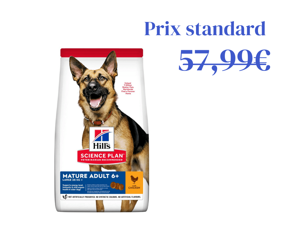 Poulet pour Chien Adulte 6+ de Grande Taille