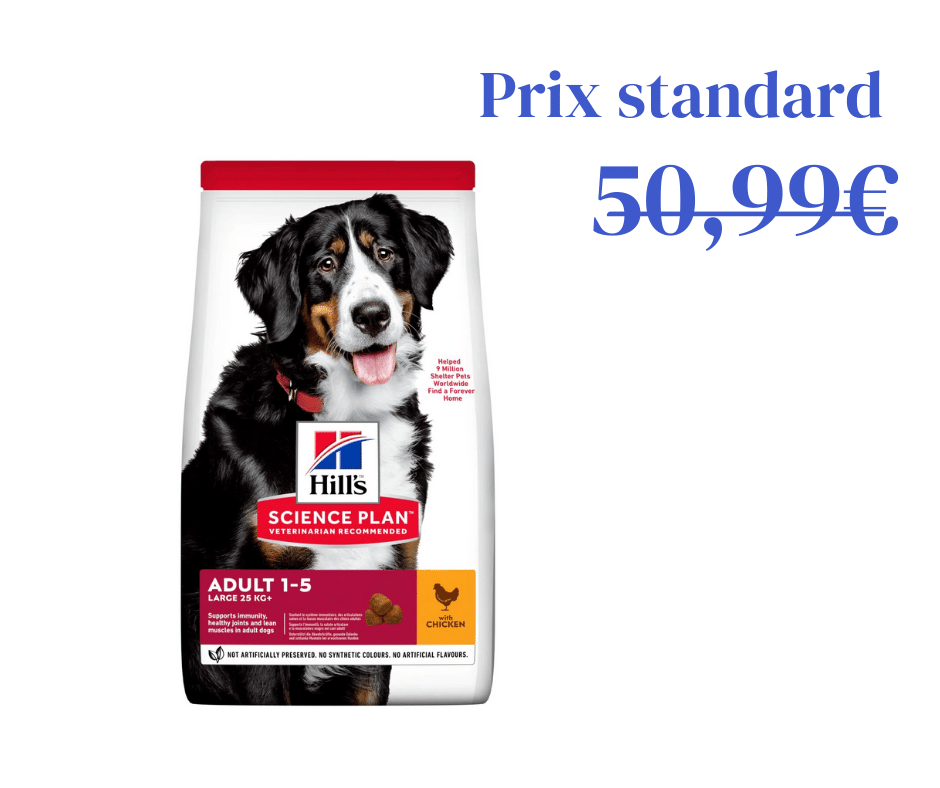 Poulet pour Chien Adulte de Grande Taille