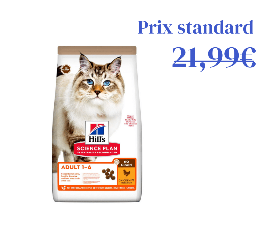 Poulet Sans Céréales pour Chat Adulte