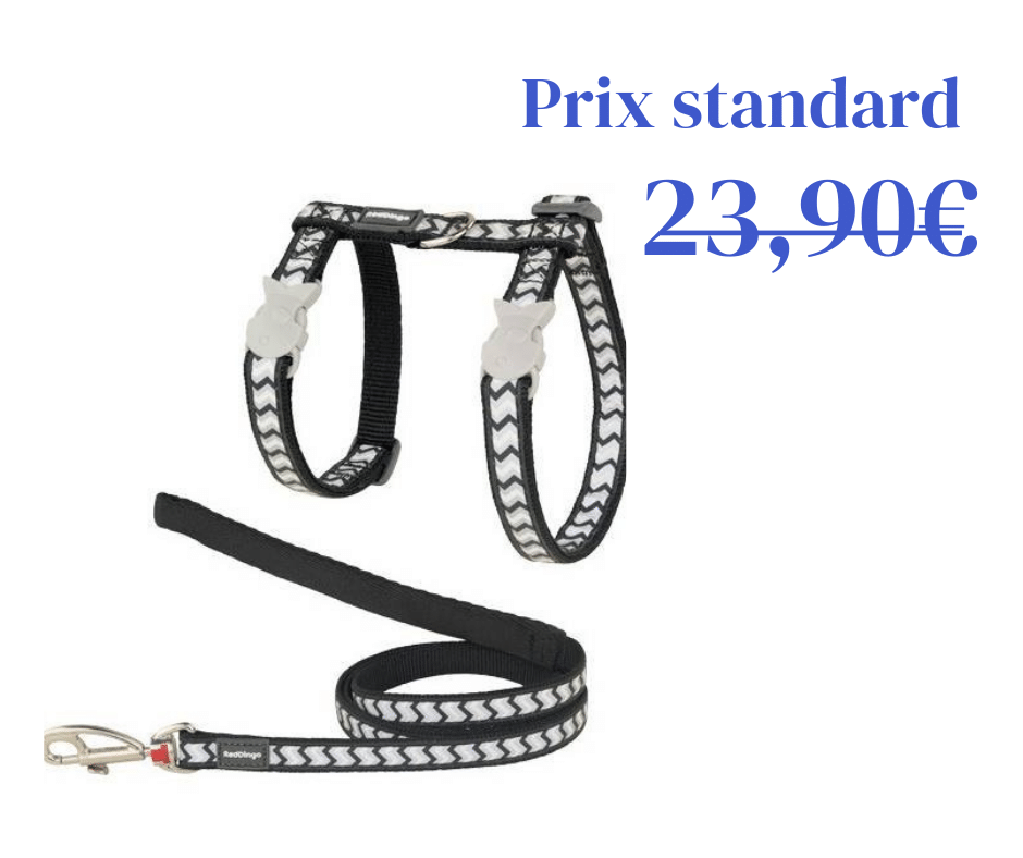 Harnais et Laisse Reflective Ziggy Noir pour chat