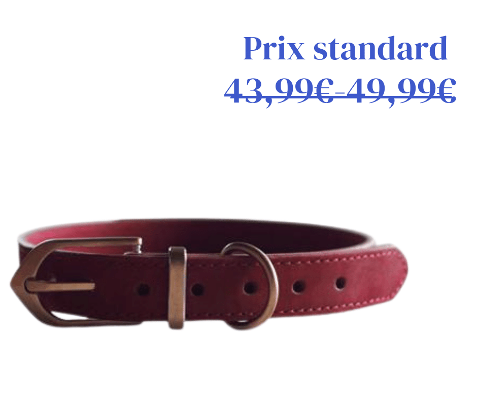 Collier en Cuir Classique Bordeaux - 2 tailles