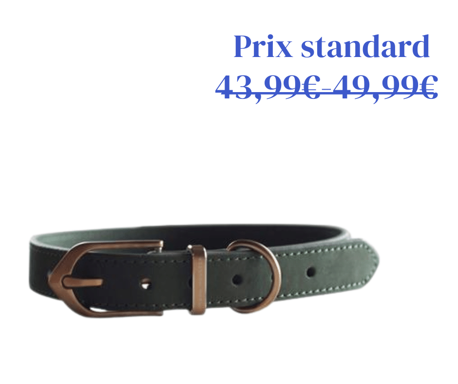 Collier en Cuir Classique Vert Forêt - 2 tailles
