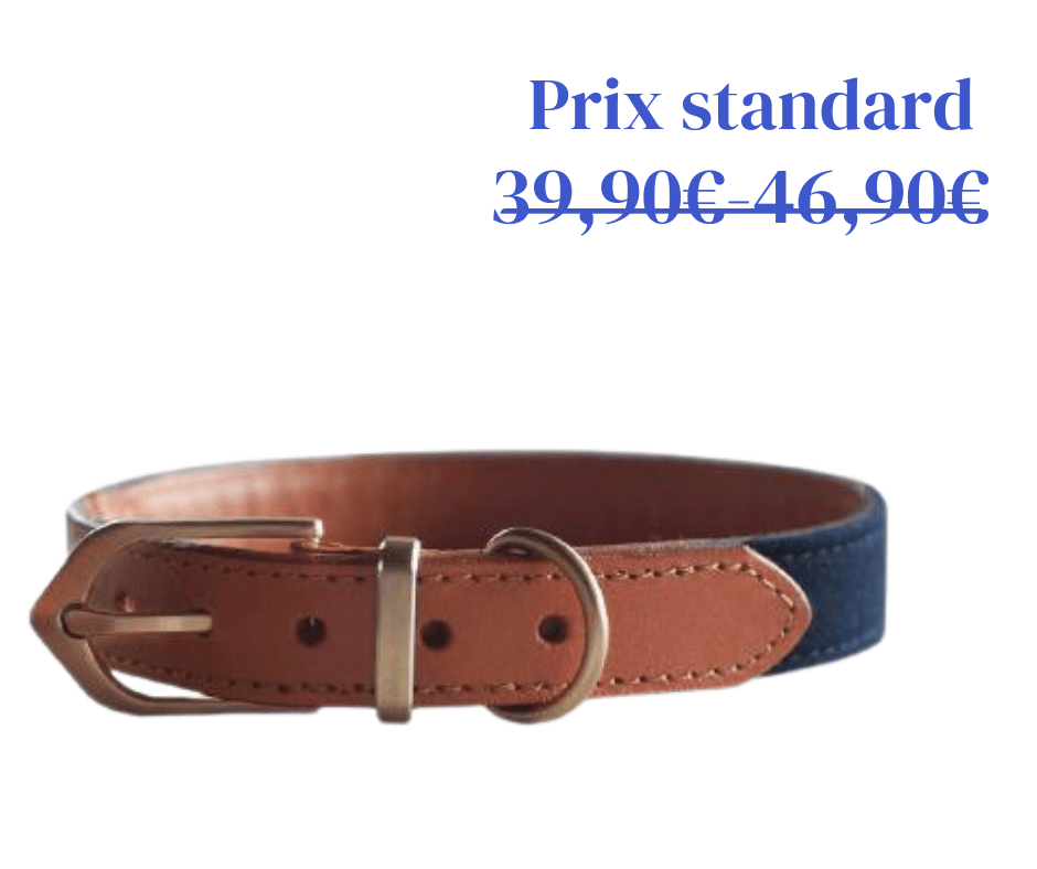 Collier en Cuir Preppy Two-Tone Bleu Marine