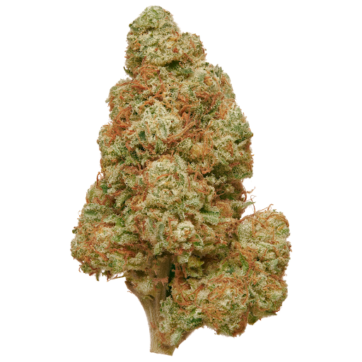 Cheese CBD