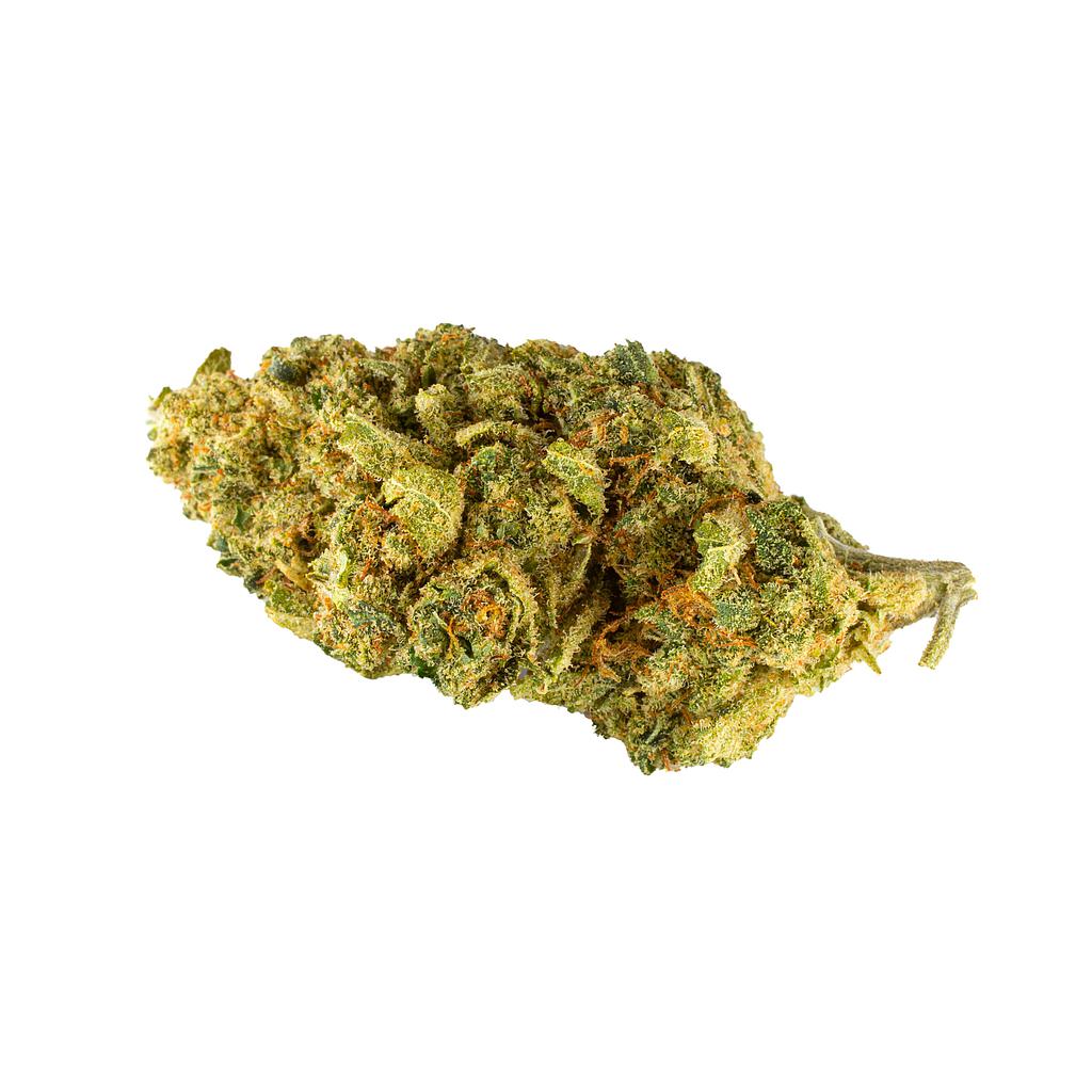 Sour Diesel indoor 21%