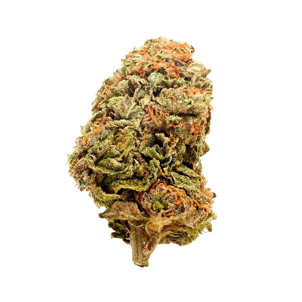 OG Kush indoor 20%