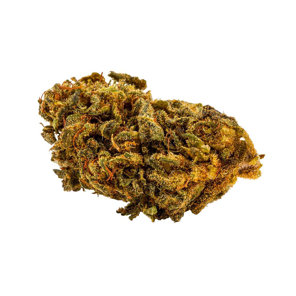 Master Kush outdoor 18%