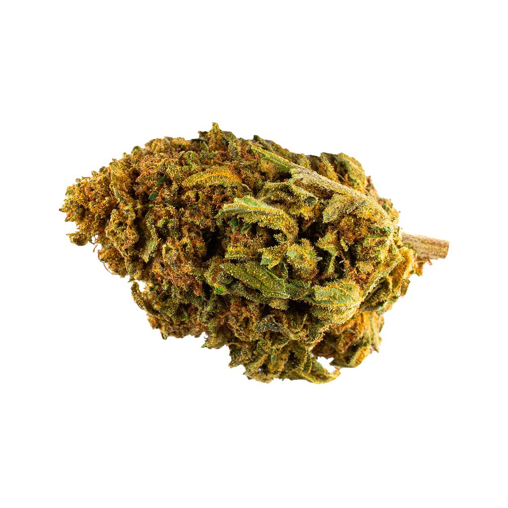 Cookie Kush outdoor 14%