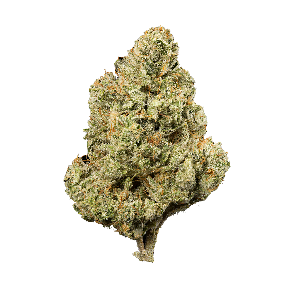 Casper indoor 18%