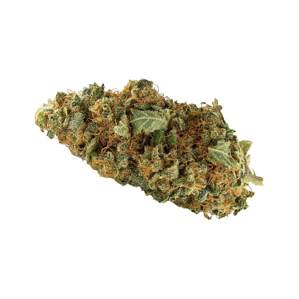 Gorilla Glue indoor 14%