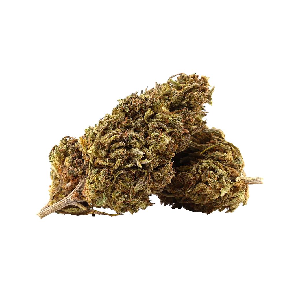 Mobydick outdoor 15%