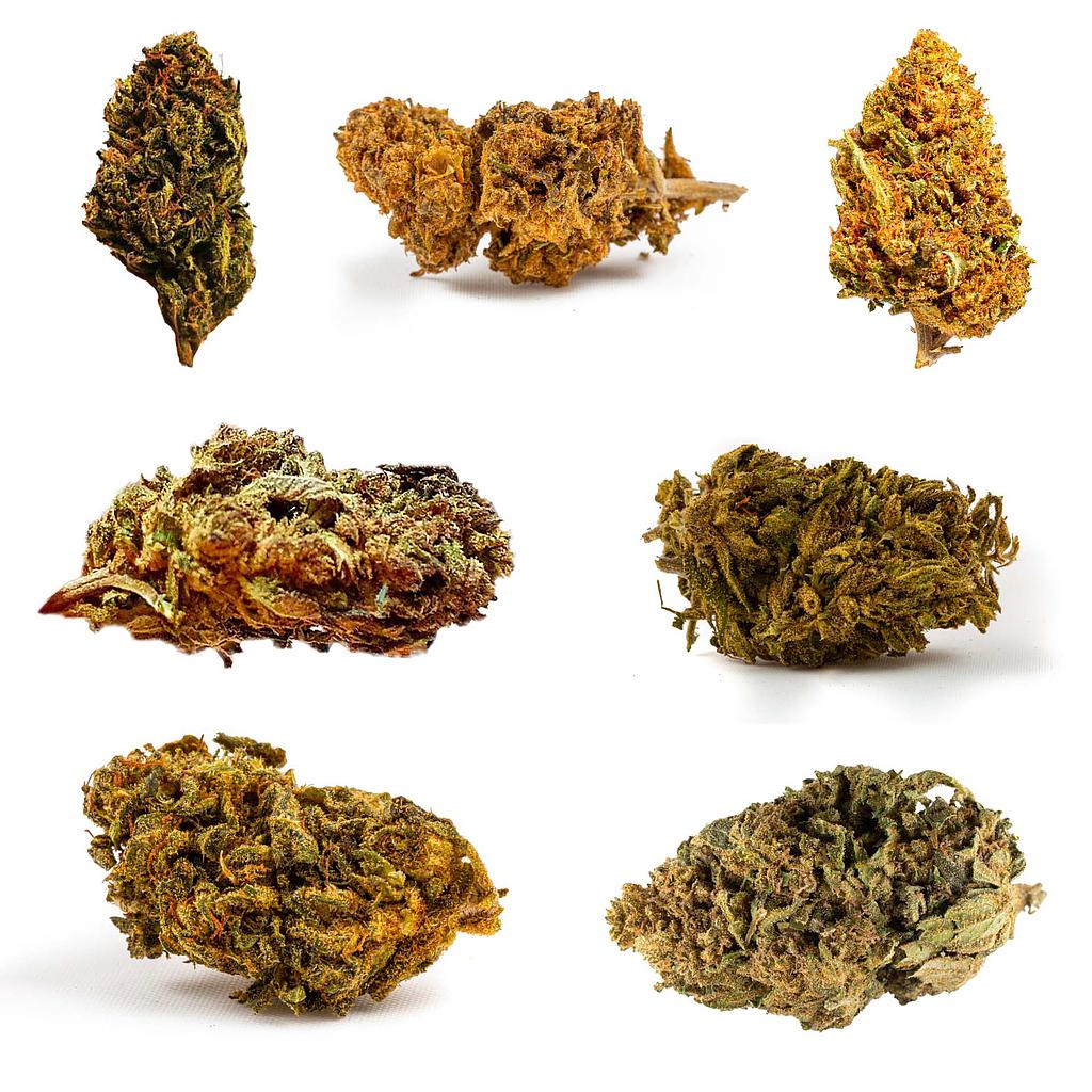 Pack découverte outdoor 35g