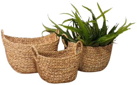 Water Hyacinth Basket set of 3