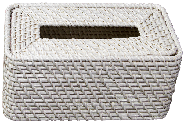 Tissue Box White