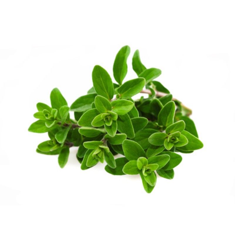 Origan - 10g
