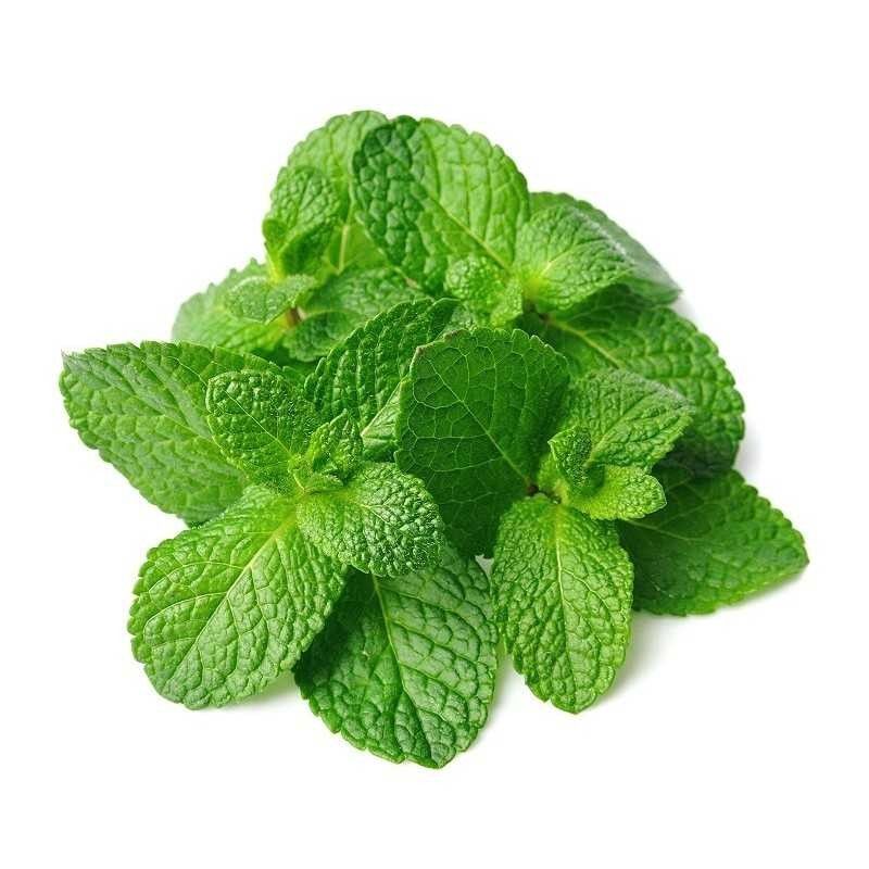 Menthe - 25g