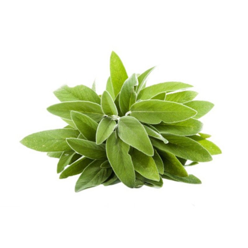 Sauge - 25g
